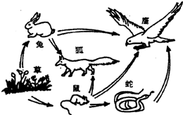 360优课网