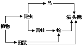 360优课网