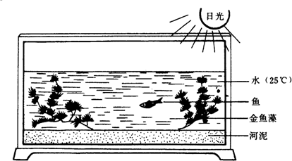 360优课网