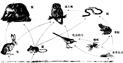 360优课网