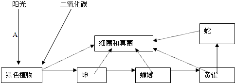 360优课网
