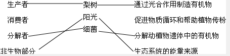 360优课网