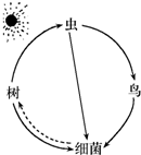 360优课网
