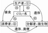 360优课网