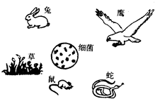 360优课网