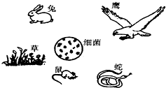 360优课网