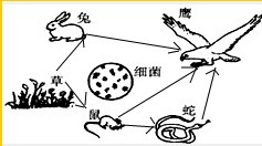 360优课网