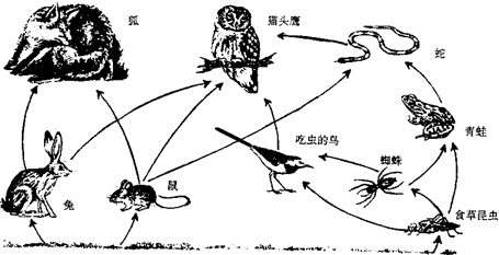 360优课网