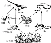 360优课网