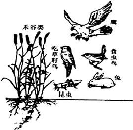360优课网