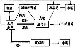 360优课网