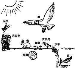360优课网