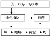 360优课网