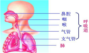 360优课网