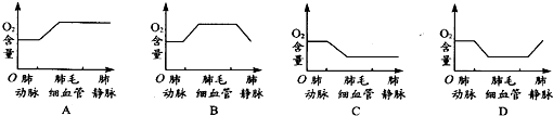 360优课网