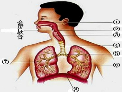 360优课网
