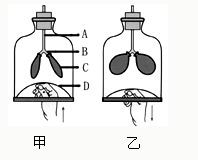 360优课网