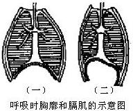 360优课网
