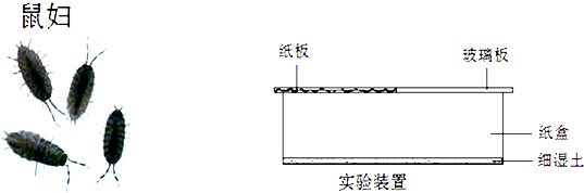 360优课网