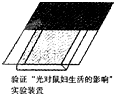 360优课网