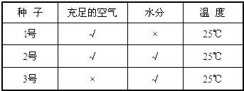 360优课网
