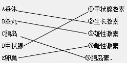 360优课网