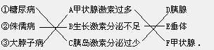 360优课网