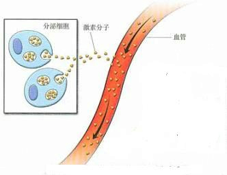 360优课网