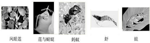 360优课网