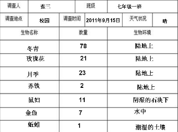 360优课网