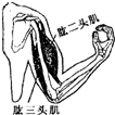 360优课网