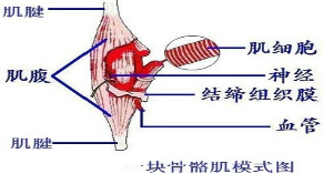 360优课网