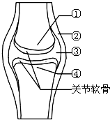 360优课网
