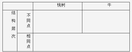 360优课网