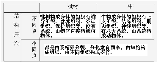 360优课网