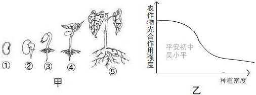 360优课网