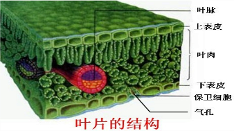 360优课网