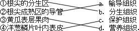 360优课网