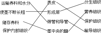 360优课网