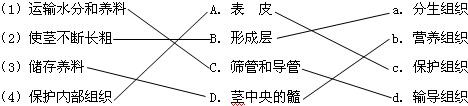 360优课网