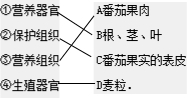 360优课网