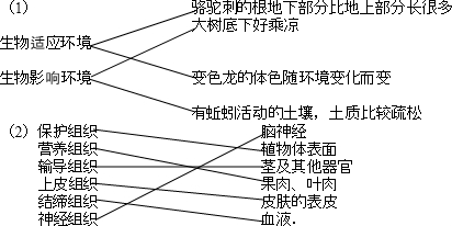360优课网