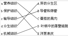 360优课网
