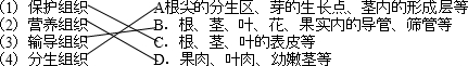 360优课网