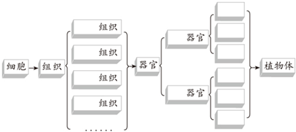 360优课网