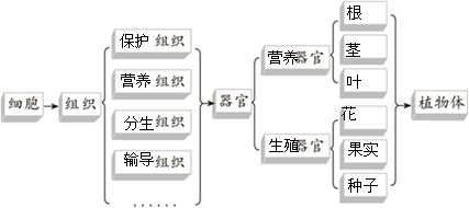 360优课网
