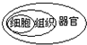360优课网
