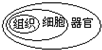 360优课网