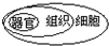 360优课网