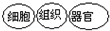360优课网